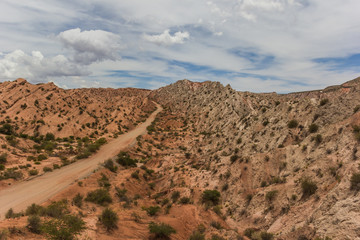 Los cardones national park