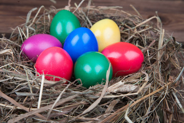 Farbige Ostereier im Nest a. Holz