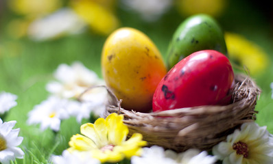 peti nid et oeufs de pâques