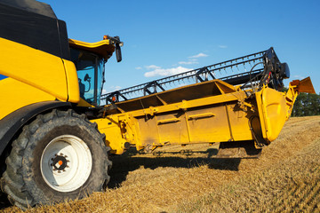 Yellov combine on field harvesting gold wheat