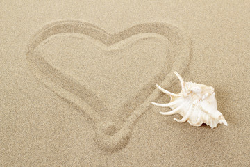 Fototapeta na wymiar handwritten heart on sand with seashell