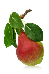 Ripe pear