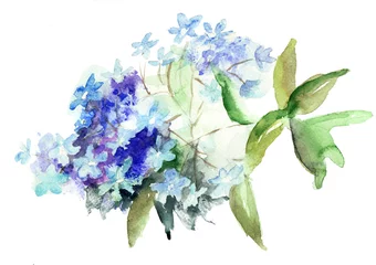 Foto auf Acrylglas Hortensie Schöne blaue Hortensienblüten