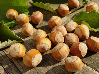 sunny nuts on old wooden background
