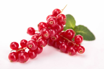isolated red currant