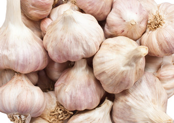 close up of garlic