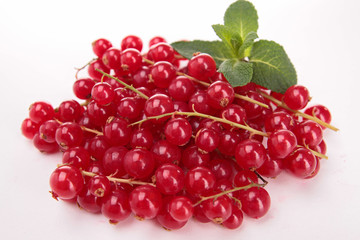 isolated red currant