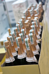 bottle of champagne wines