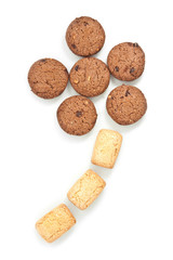 Sunflower, made from cookies, isolated on white