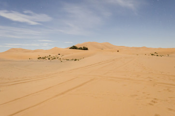 Fototapeta na wymiar Dune Stable