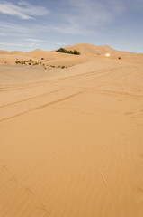 Fototapeta na wymiar Sand Dune