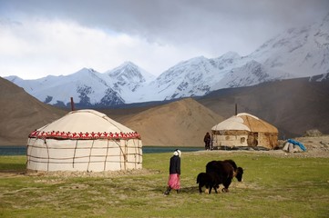 Yaks und Jurten in Kirgisien
