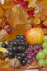 Herbststilleben