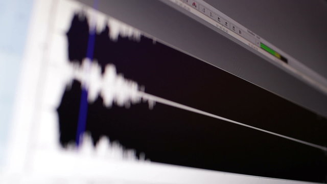 Timeline window with waveform. Focus pulling.