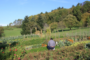 Jardinier