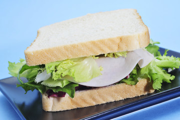 vegetables and turkey sandwich