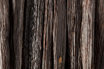 Fresh Brown Organic Vanilla Bean