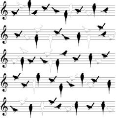 Bird notation lines