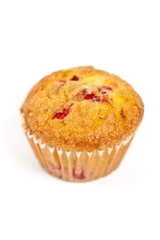 Freshly baked cranberry muffin
