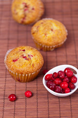 Freshly baked cranberry muffins