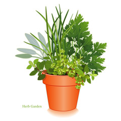 Herb Garden Clay Flowerpot, Oregano Sage Chives Parsley Marjoram
