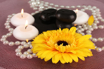 Obraz na płótnie Canvas kamienie spa z kwiatów i świec w wodzie na talerzu