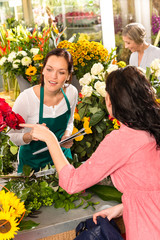 Young florist ordering roses woman customer flower