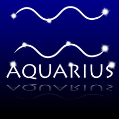 Signs of the zodiac. Aquarius