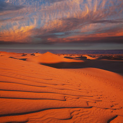 Desert