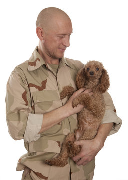 Soldier And Dog