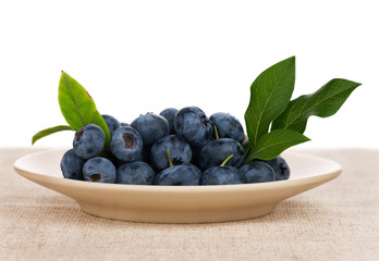 Ripe blueberries