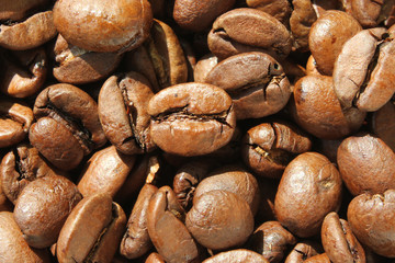 Kaffeebohnen