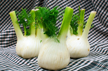 Fennel
