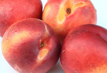 Nectarines