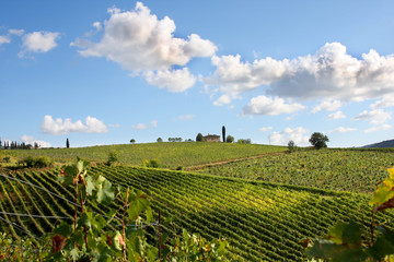 Chianti vineyard landscape in Tuscany, Italy