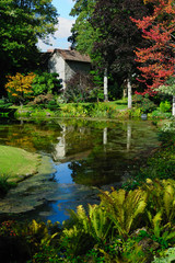 Courances castle garden, France - 49236466