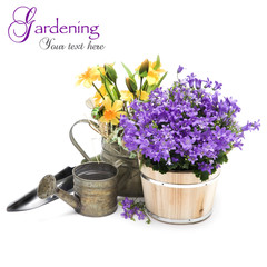 Spring flowers with garden tools isolated on white background