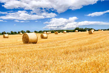 straw bales in irish countryside