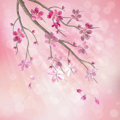 Obraz na płótnie Canvas Wiosna, vector, drzewo, gałą¼, kwiat, kwiaty wiśni