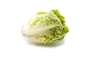Single Baby Salad isolated on white