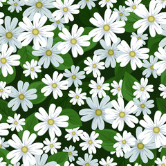 Seamless background with stellaria flowers. Vector illustration.