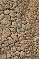 cracked clay soil