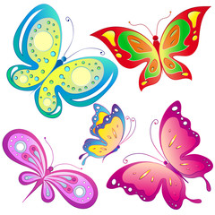 butterfly,butterflies