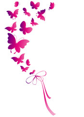 Obraz na płótnie Canvas motyl, motyle