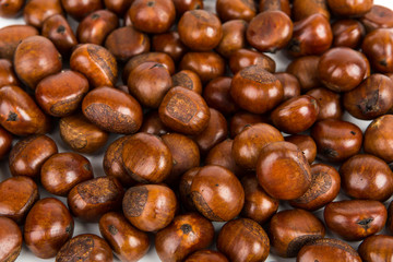 Chestnut background