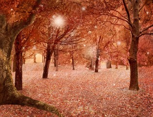 Fototapeta na wymiar Magia jesienny las