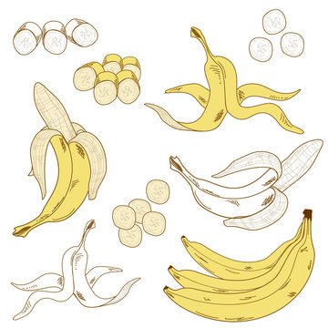Set of isolated bananas