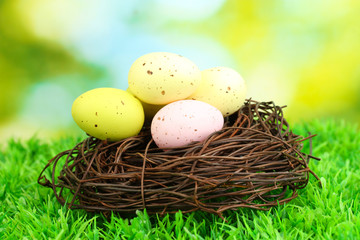 Colorful easter eggs on grass