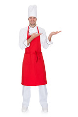 Portrait of cheerful chef in uniform presenting