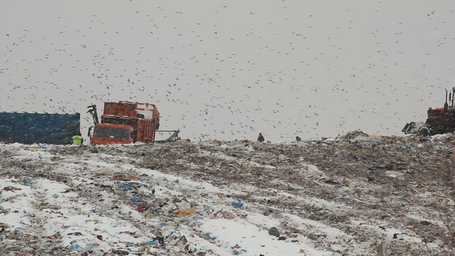 Dump (landfill) 